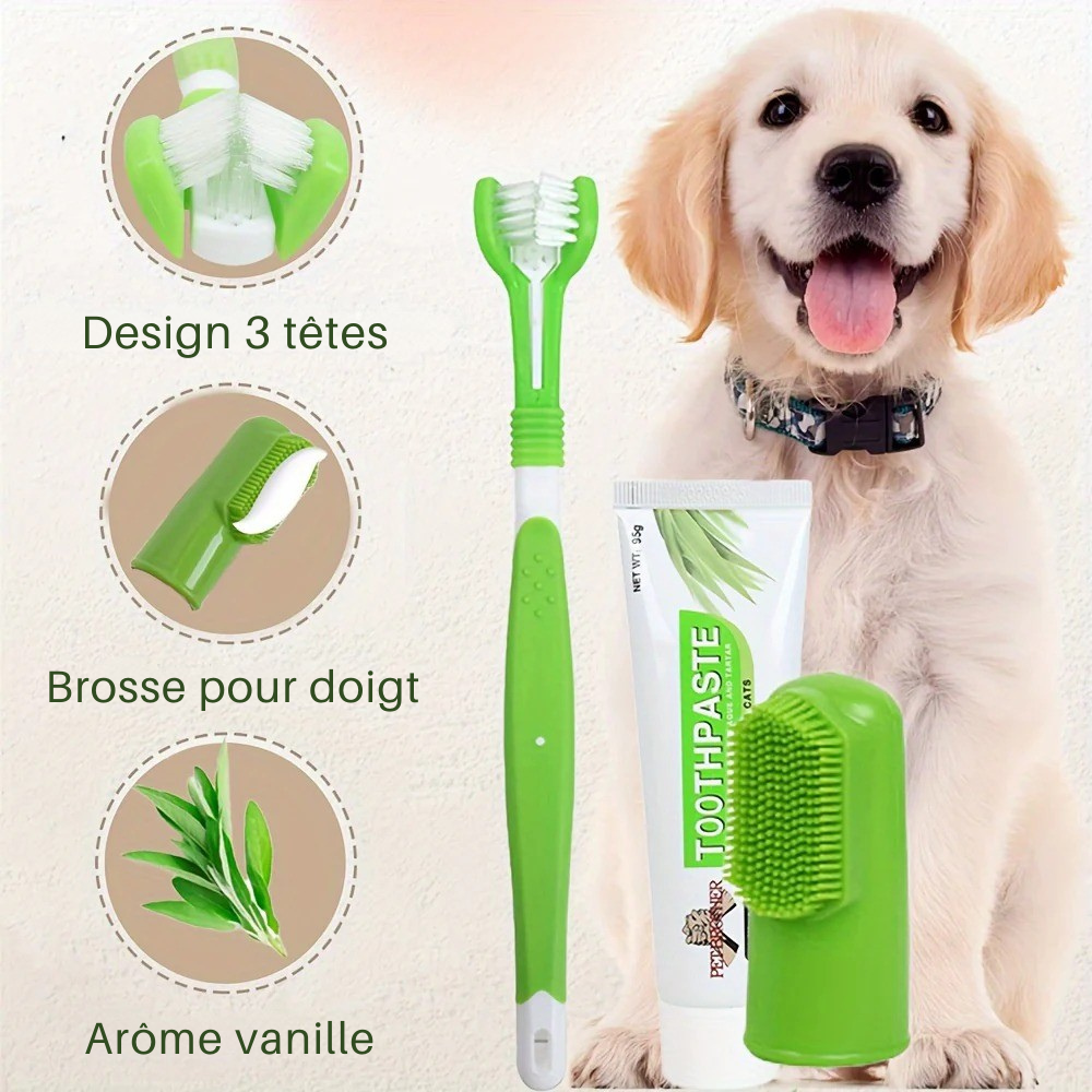 Kit Brosse à Dents 3 en 1 pour Animaux