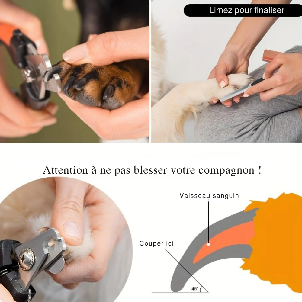 Coupe-Griffes Professionnel et Lime pour Chiens et Chats