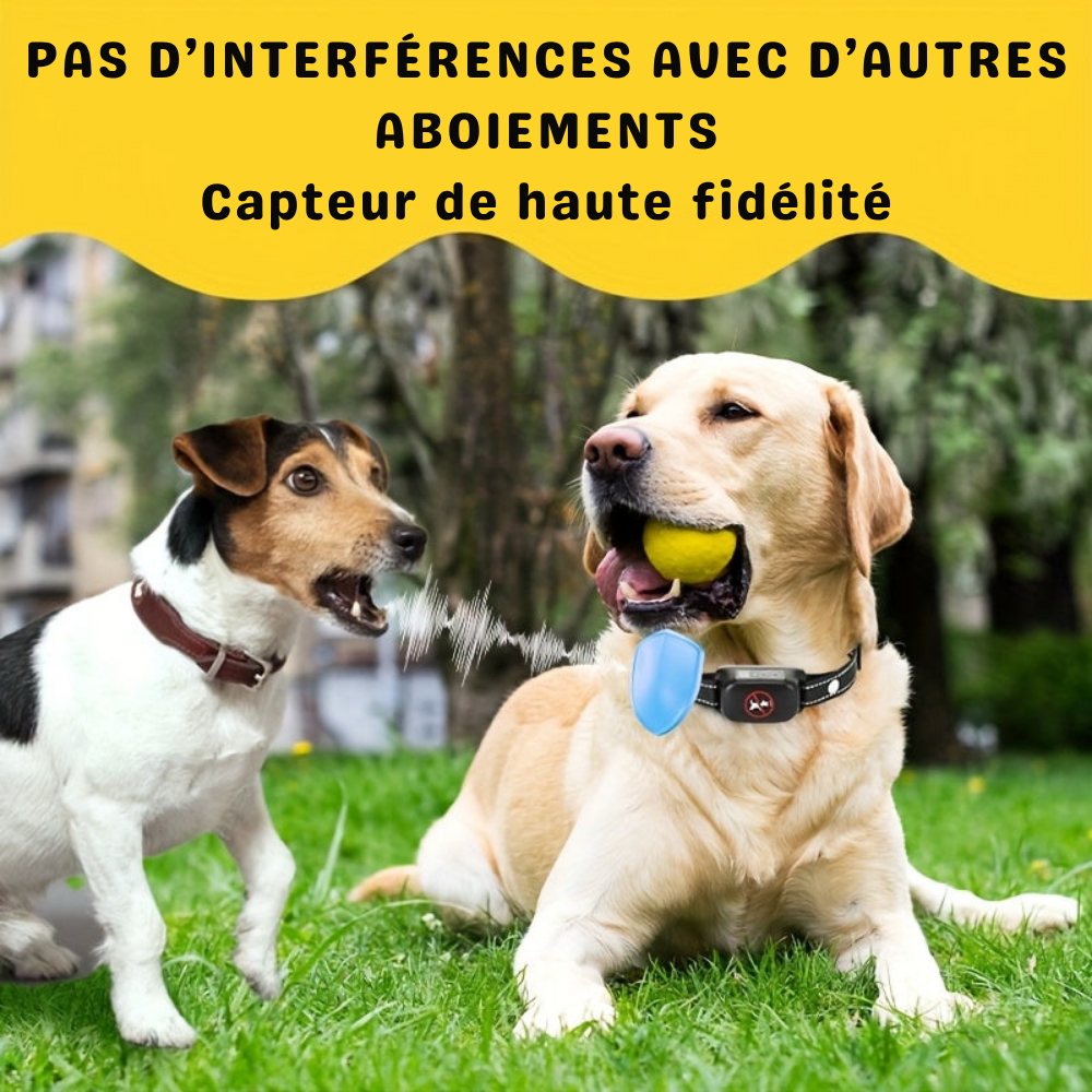 Collier Anti-Aboiement Choc Automatique avec Capteur Intelligent