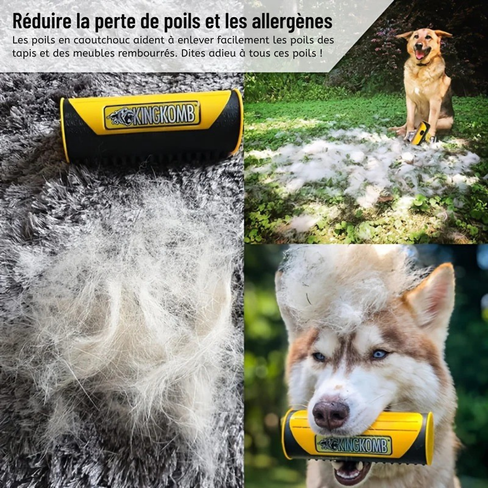 Brosse Double-Face Ergonomique KingKomb pour Animaux