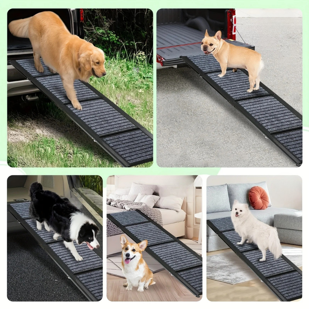Rampe de Voiture Pliable Antidérapante pour Chiens
