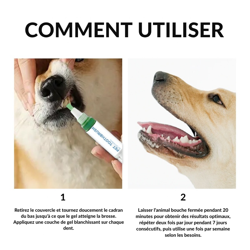 Stylo Brosse à Dents pour Animaux ROZINO