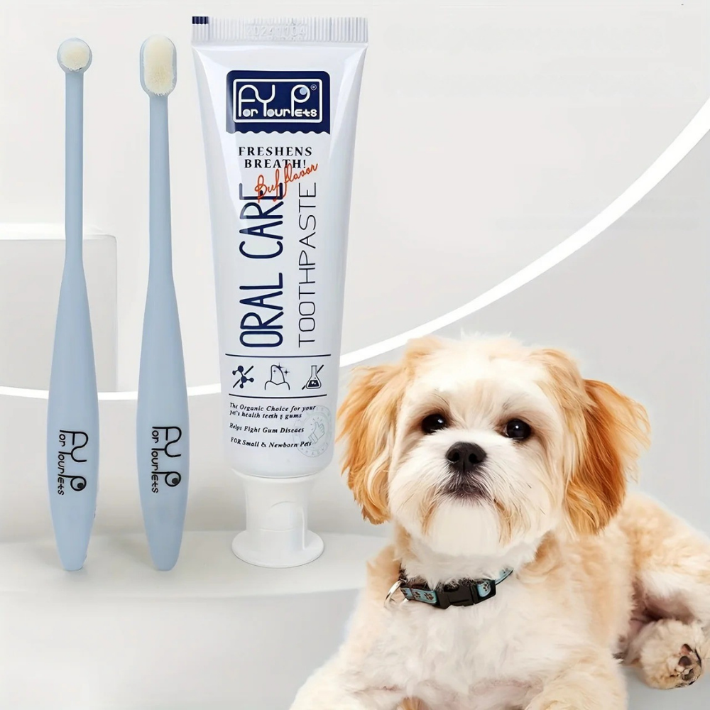 Kit Brosse à Dents Ultra-Douce & Dentifrice Bœuf pour Chiens