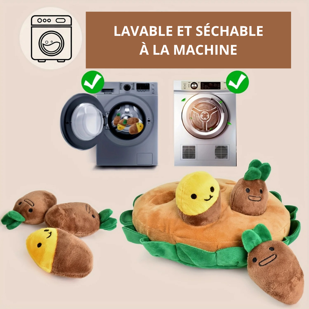 Jouet de Fouille Interactif avec Légumes Amovibles