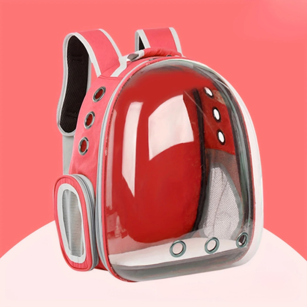 Sac à Dos Transparent pour Chat et Petit Chien
