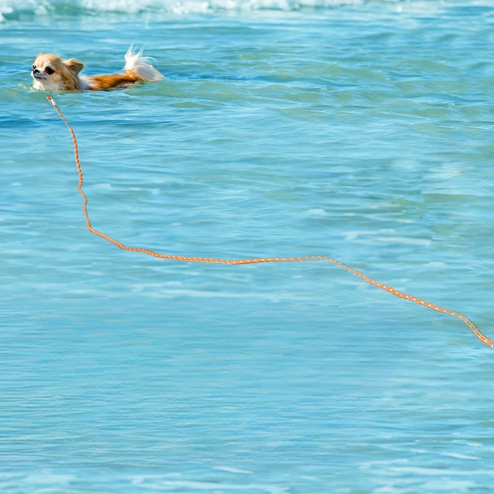 Longe Réfléchissante Orange en Nylon pour Chien – 5 m à 15 m