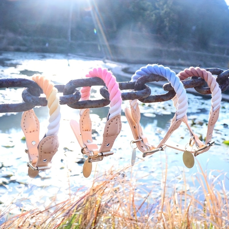 Collier Pastel Corde Tressée pour Chien