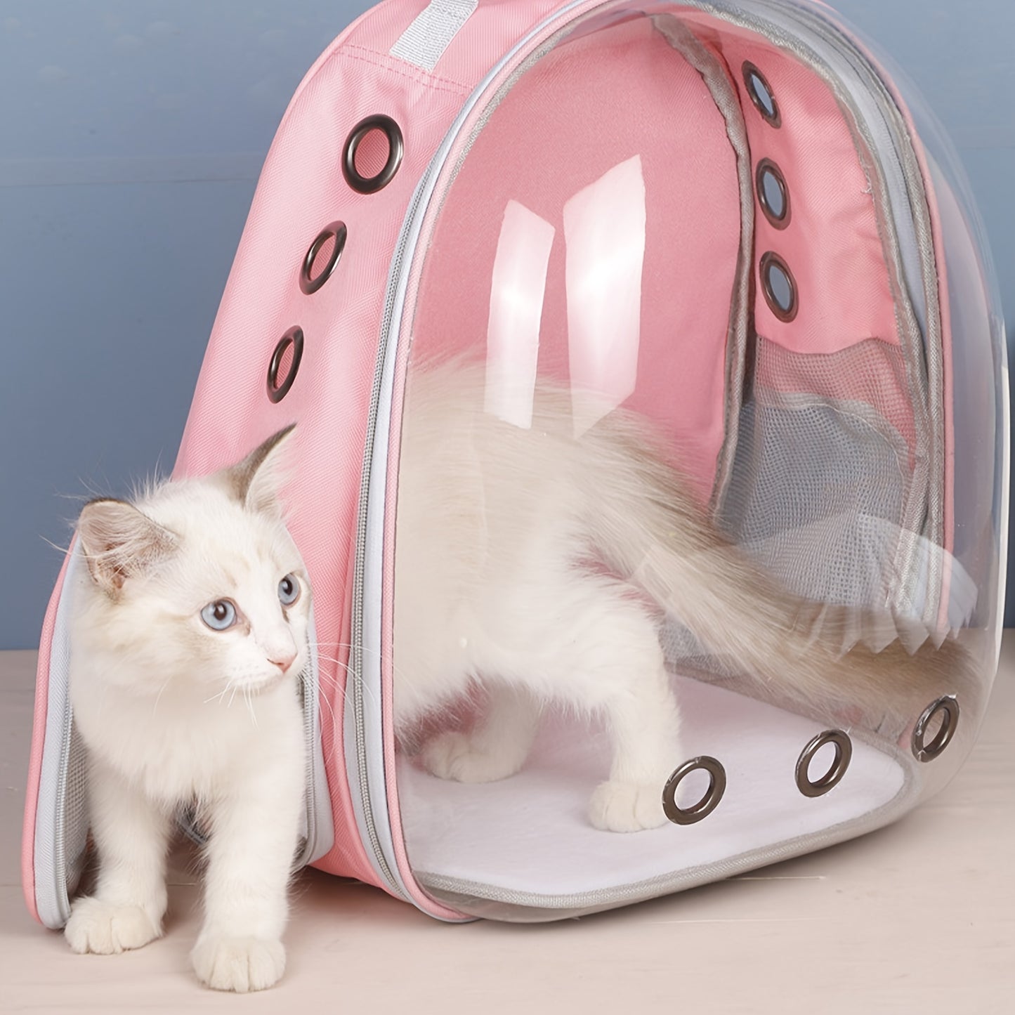 Sac à Dos Transparent pour Chat et Petit Chien