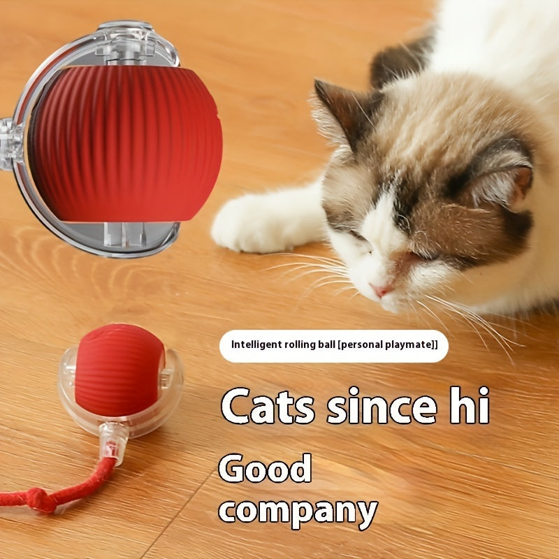 Balle Interactive Électrique pour Chat avec Corde et Modes Lumineux