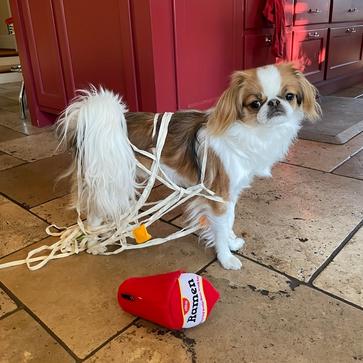 Jouet Ramen en Peluche pour Chiens – Cache Friandises Interactif