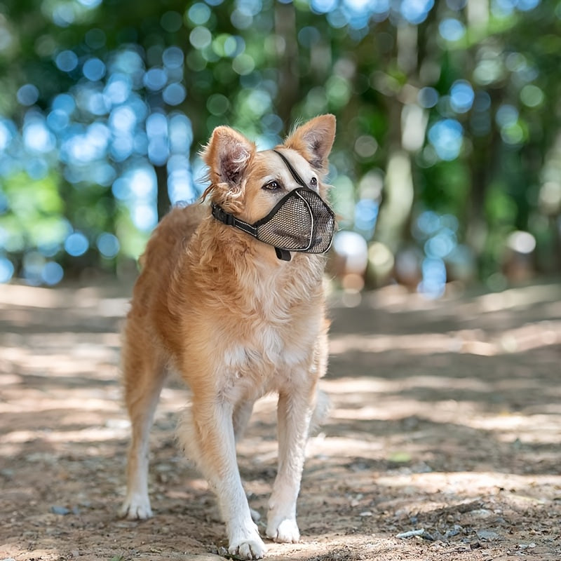 Muselière pour Chien en Maille Respirable