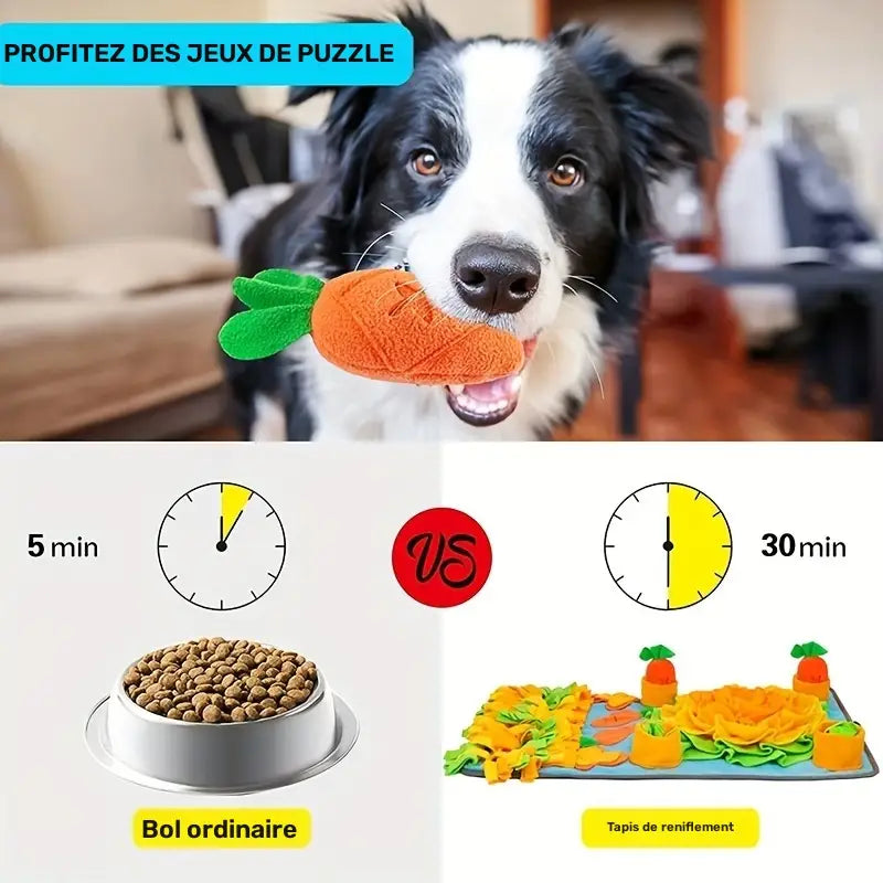 Grand Tapis de Fouille – Jouet de Recherche Olfactive pour Chien