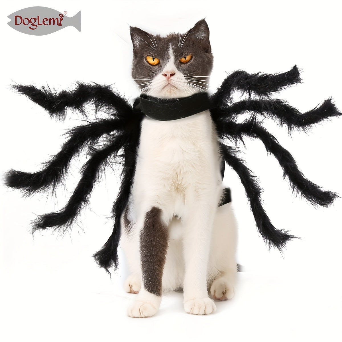 Costume Araignée d’Halloween pour Chats et Petits Chiens