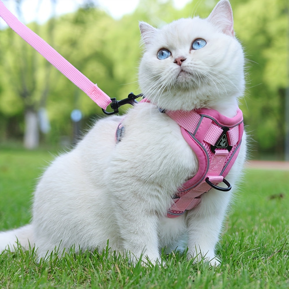 Harnais Réfléchissant et Respirant pour Chat avec Laisse – Confort et Sécurité Extérieure