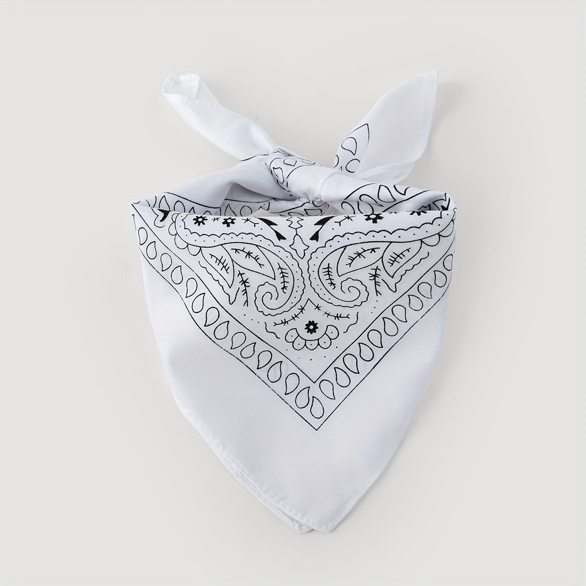 Bandana Classique Carré pour Chien – Motif Paisley