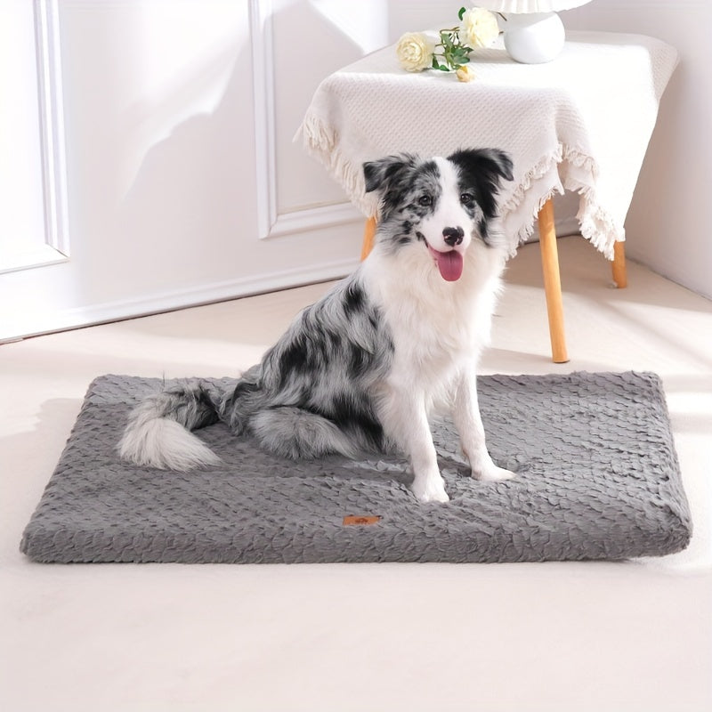 Coussin Moelleux Rectangulaire pour Chien et Chat