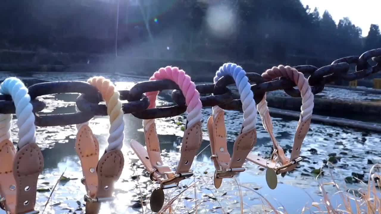 Collier Pastel Corde Tressée pour Chien