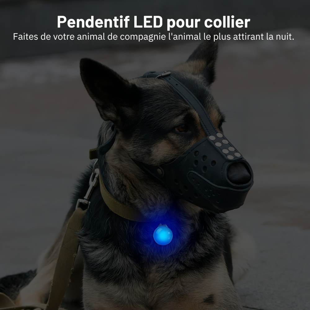 Pendentif lumineux rond pour collier de Chien ou Chat