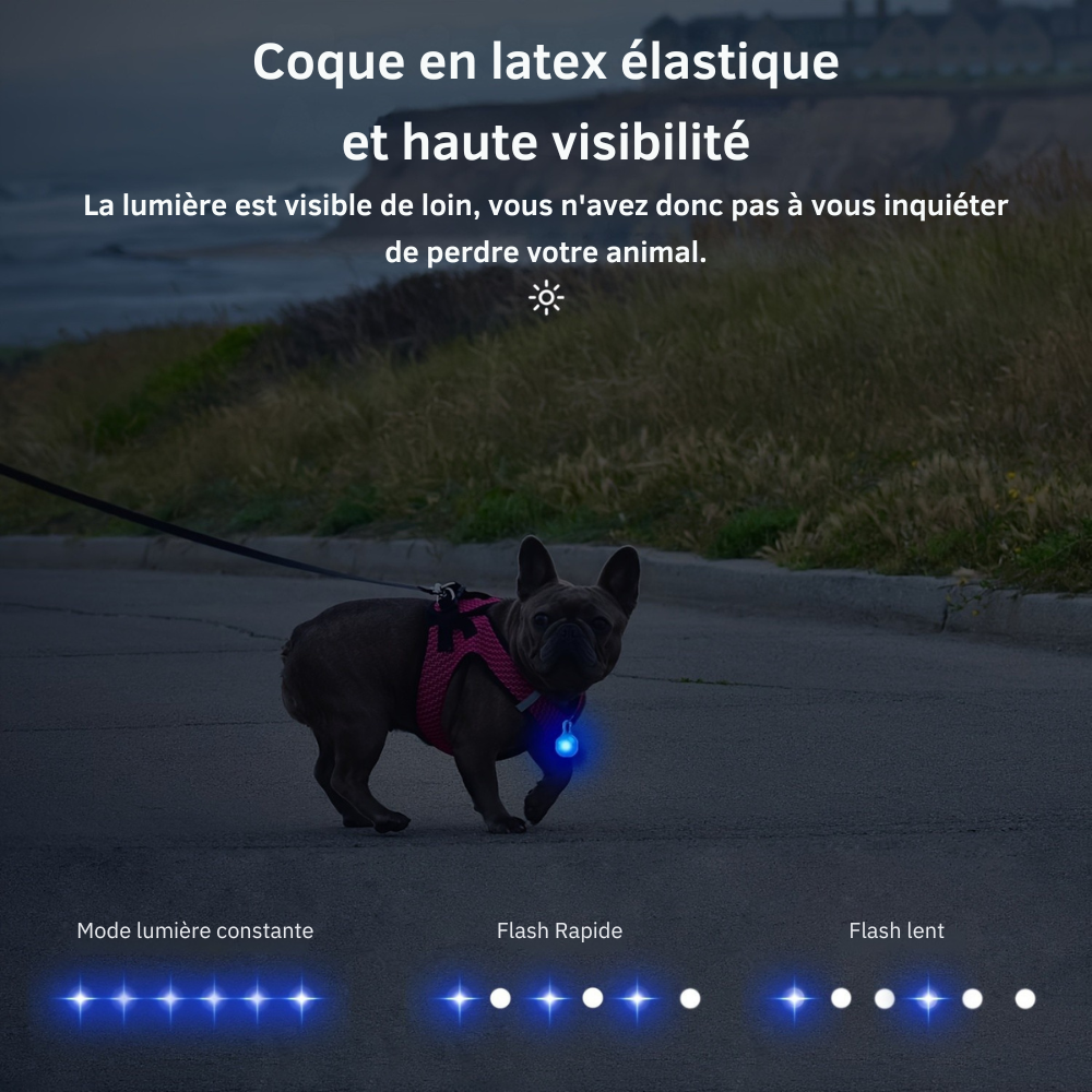 Pendentif lumineux rond pour collier de Chien ou Chat