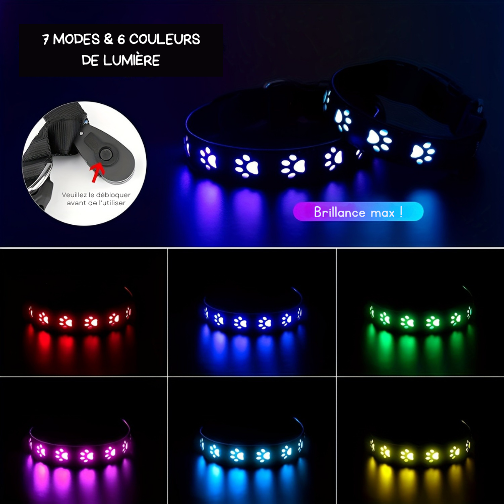 Collier lumineux à motif patte pour Chien - rechargeable par USB
