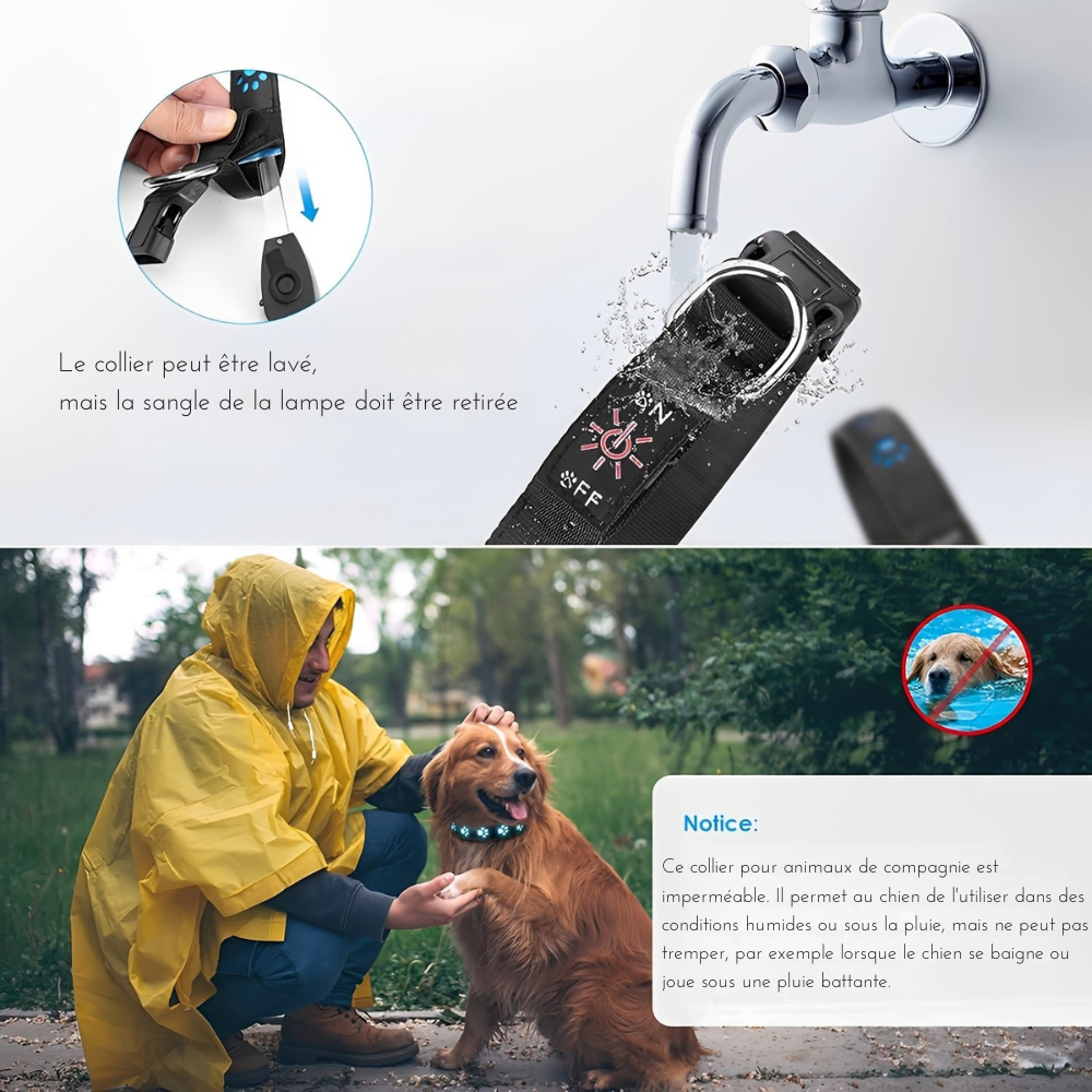 Collier lumineux à motif patte pour Chien - rechargeable par USB