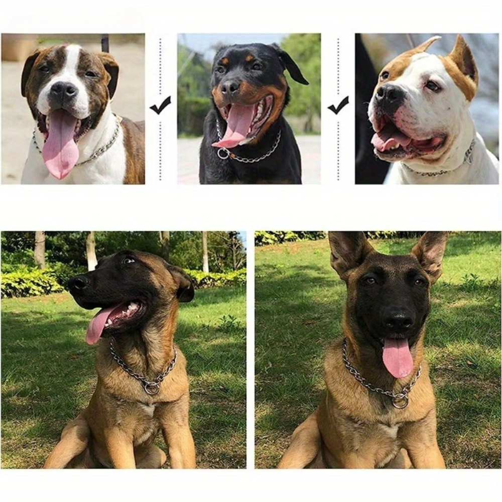 Collier étrangleur en acier inoxydable – double torsion pour dressage Chien