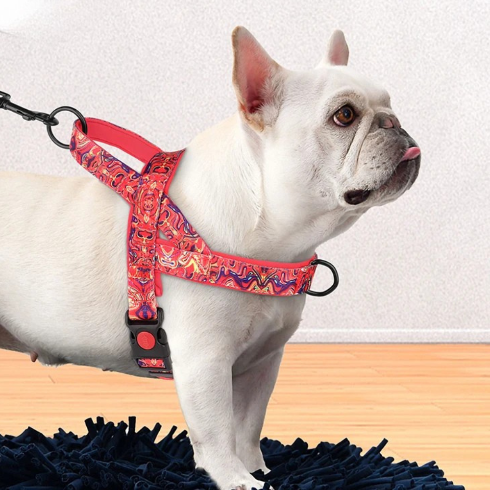 Harnais ajustable en Y Anti-traction pour Chien