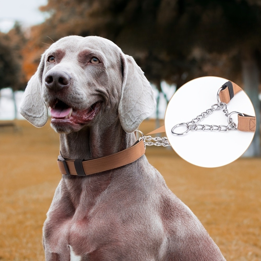 Collier étrangleur anti-traction en polyester avec chaîne inox