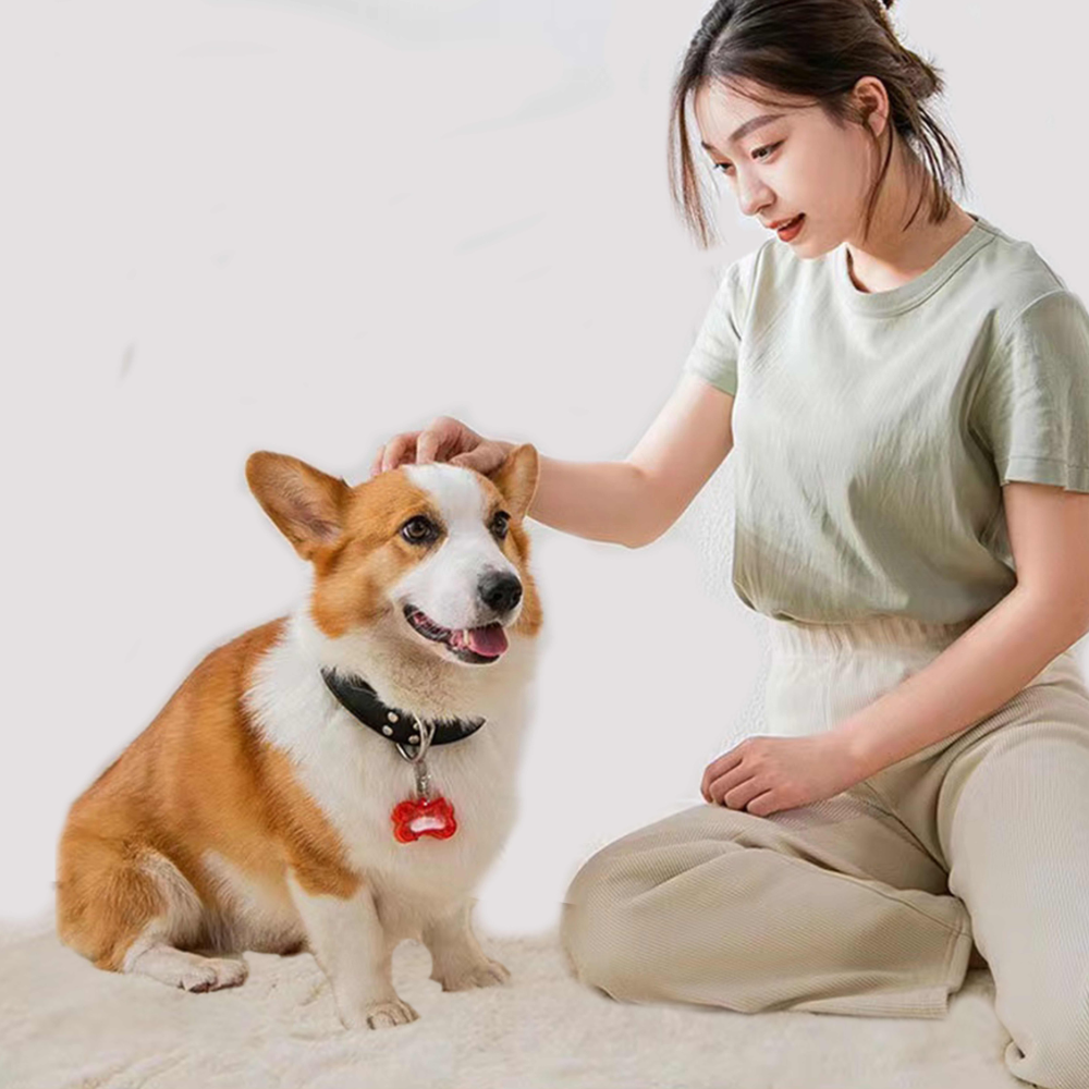 Pendentif lumineux os pour collier de chien