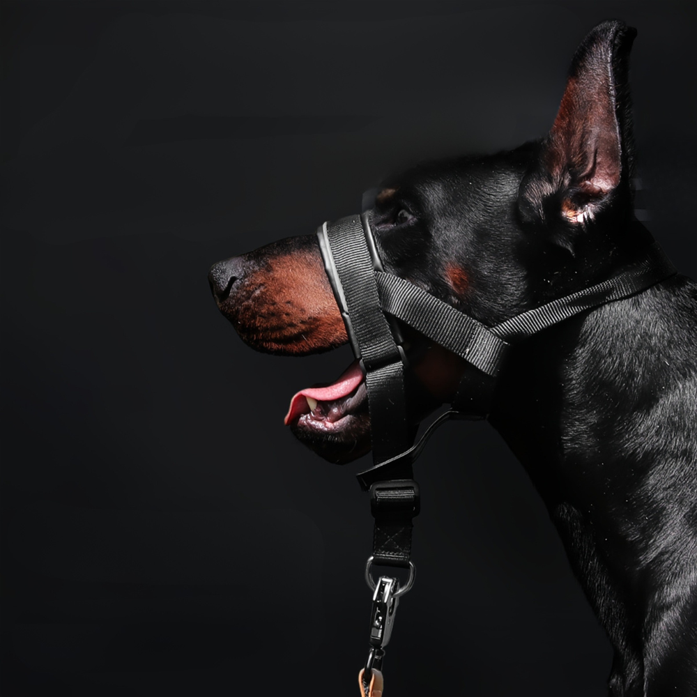 Muselière de dressage en nylon réglable – confort et contrôle sans gêne