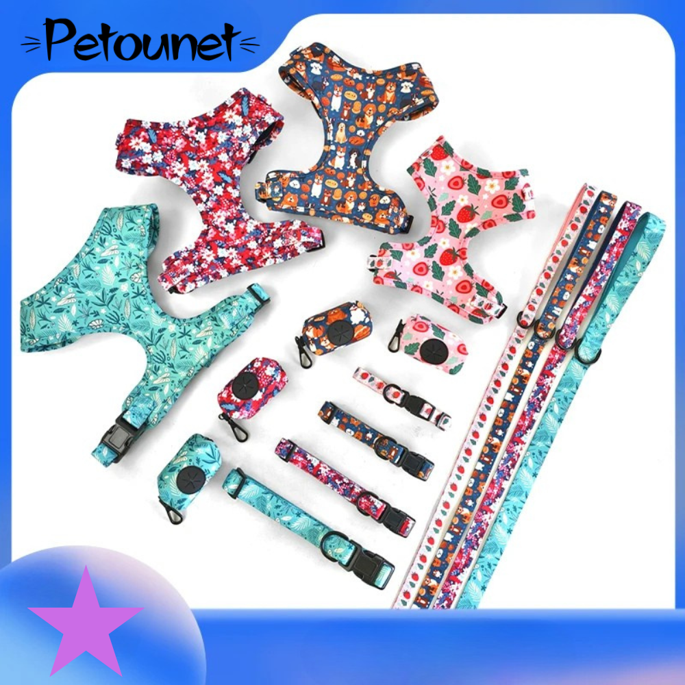 Pack 4-en-1 Harnais et accessoires pour Petit Chien