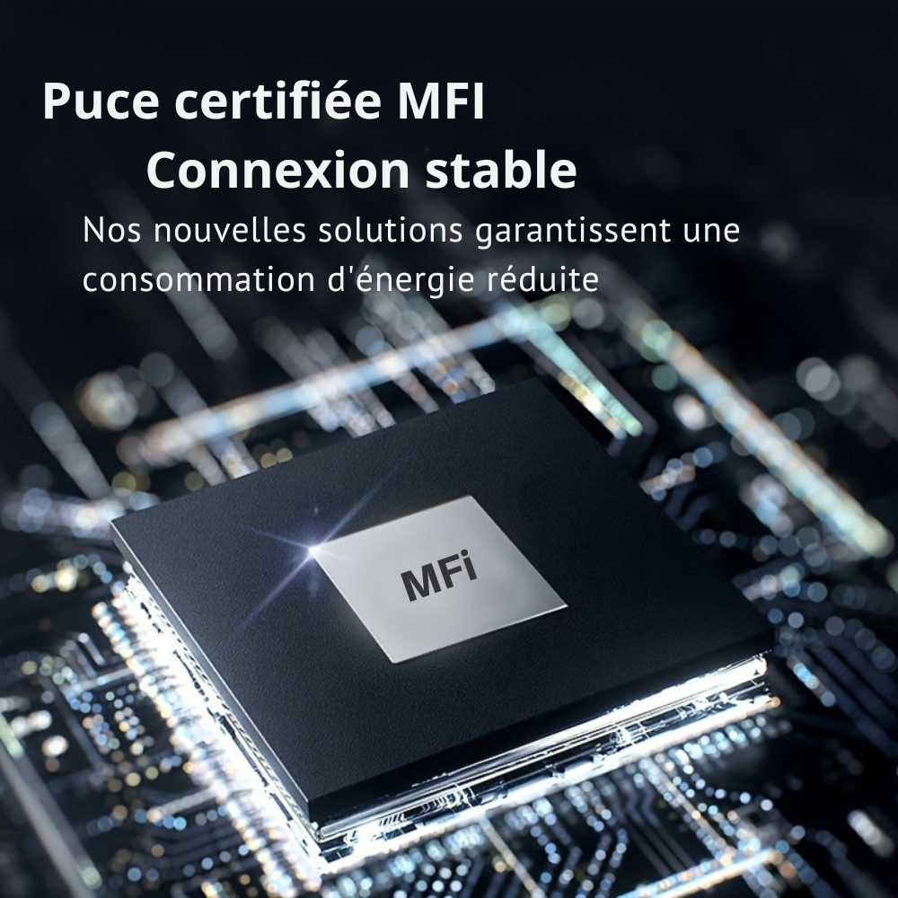 Traceur GPS X-Tag Intelligent sans fil iOS pour Chien