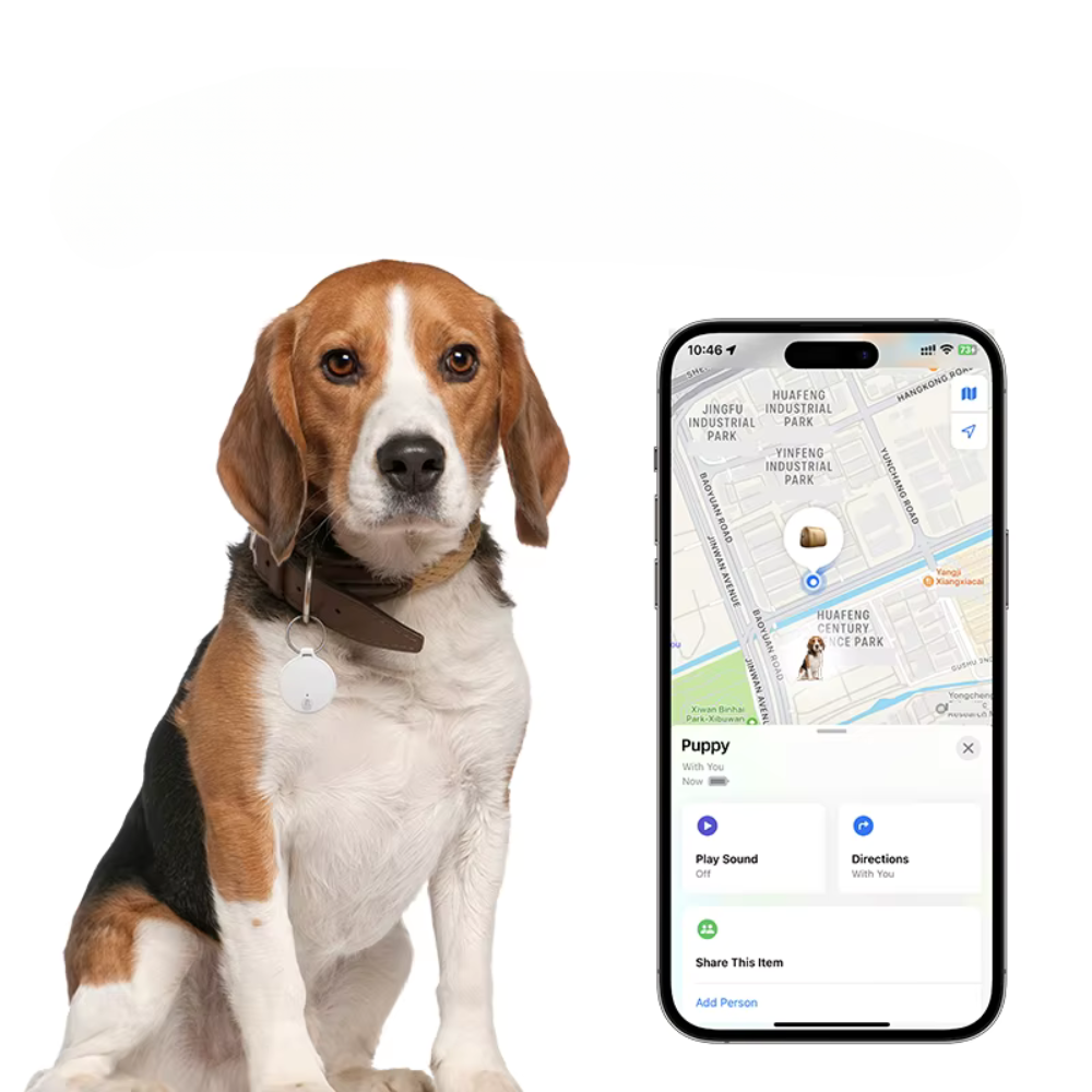 Traceur GPS X-Tag Intelligent sans fil iOS pour Chien