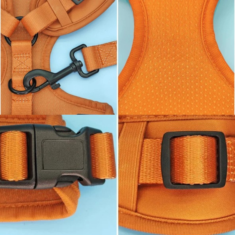 Pack 4-en-1 Harnais et accessoires pour Petit Chien
