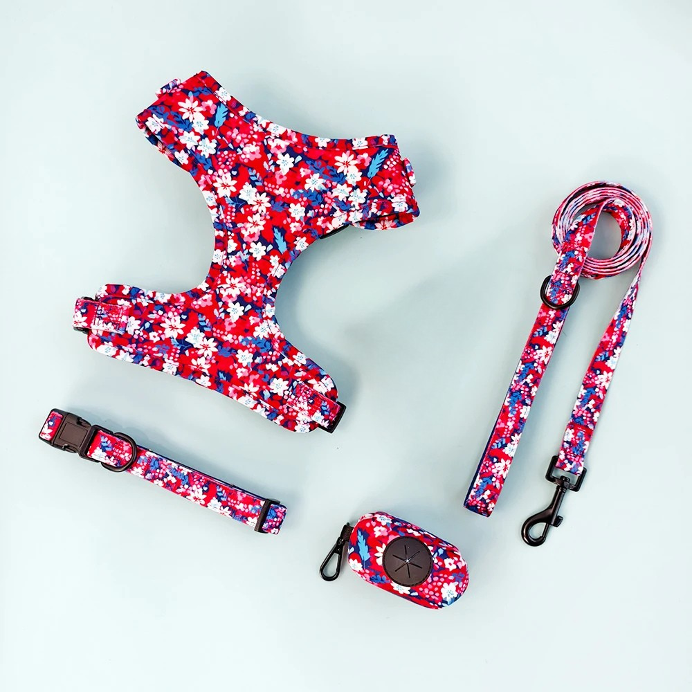 Pack 4-en-1 Harnais et accessoires pour Petit Chien