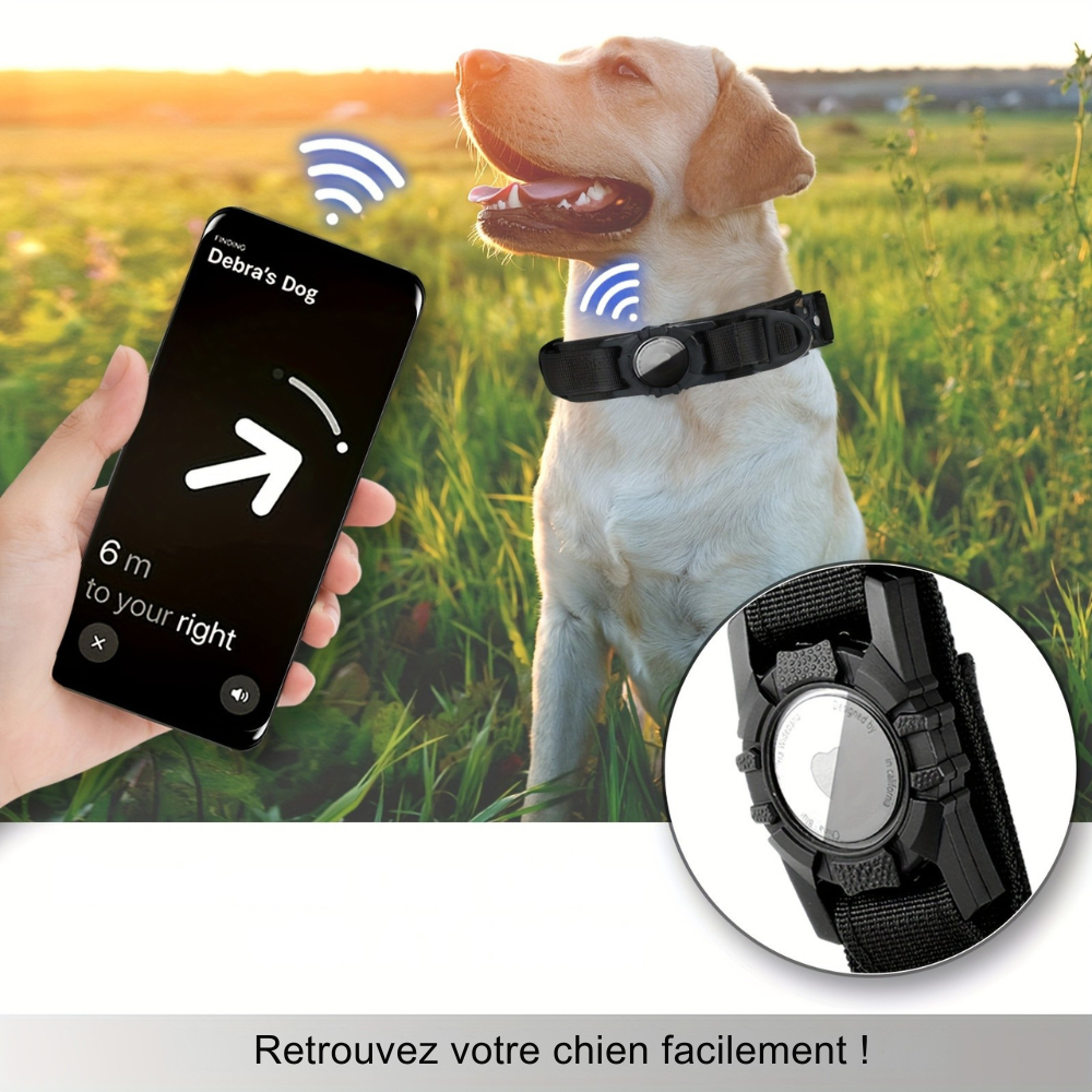 Collier Tactique pour Chien avec poignée et support GPS