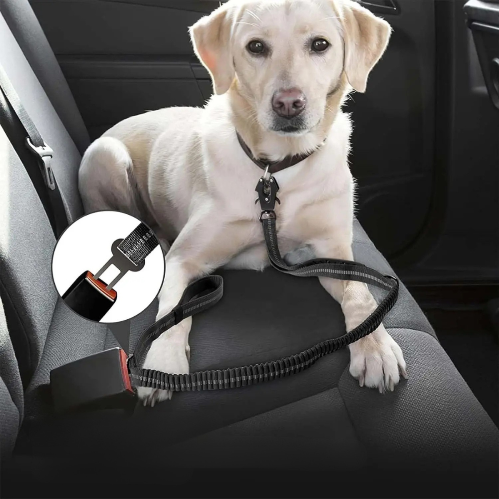 Laisse Tactique & Ceinture de Sécurité Voiture Pro pour Chien