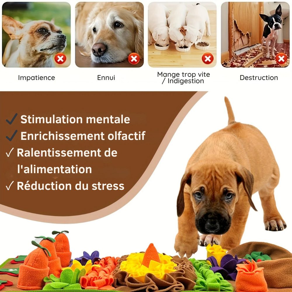 Tapis de Fouille Potager Sonore – Jouet Olfactif Lavable pour Chien