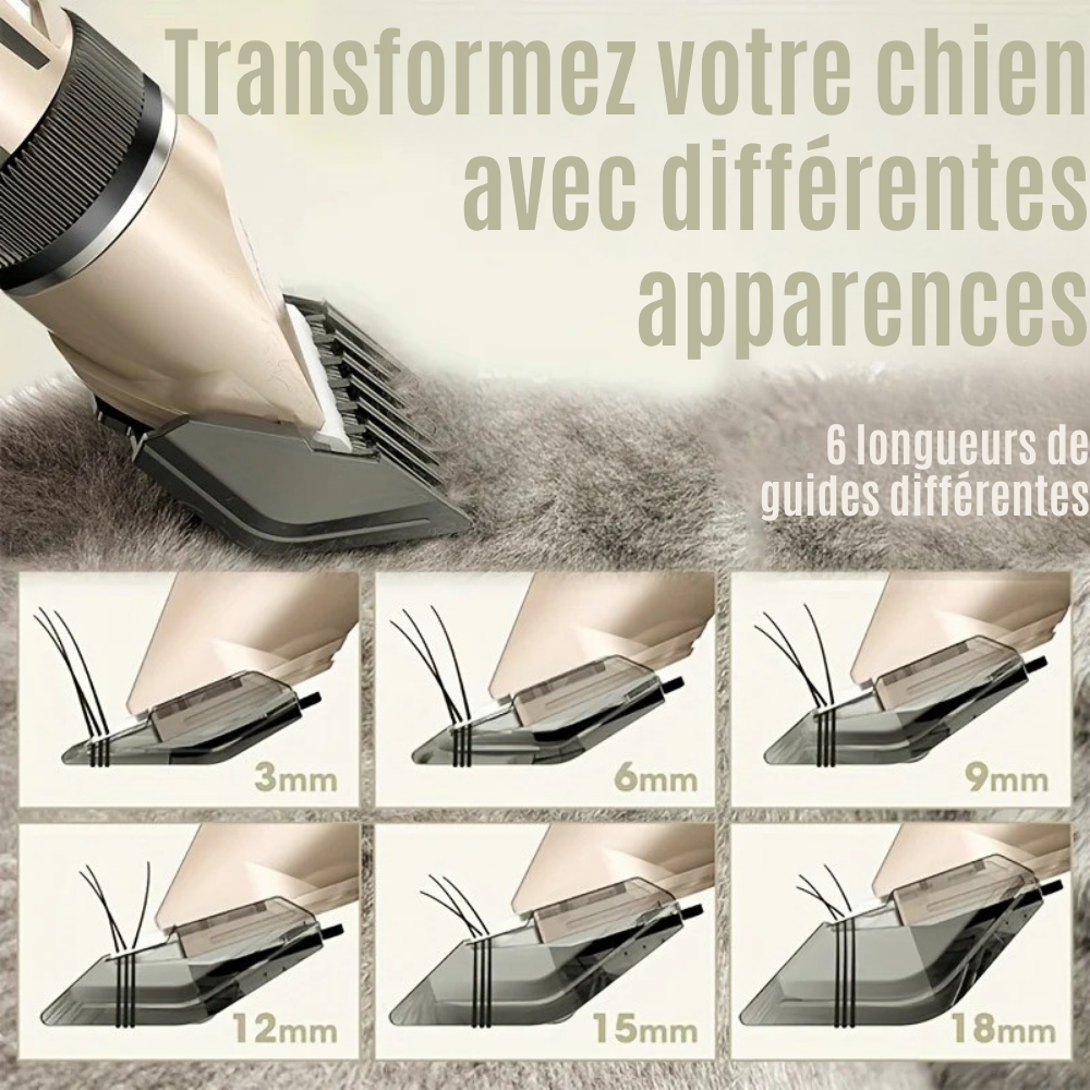 Tondeuse Silencieuse pour Toilettage Animaux