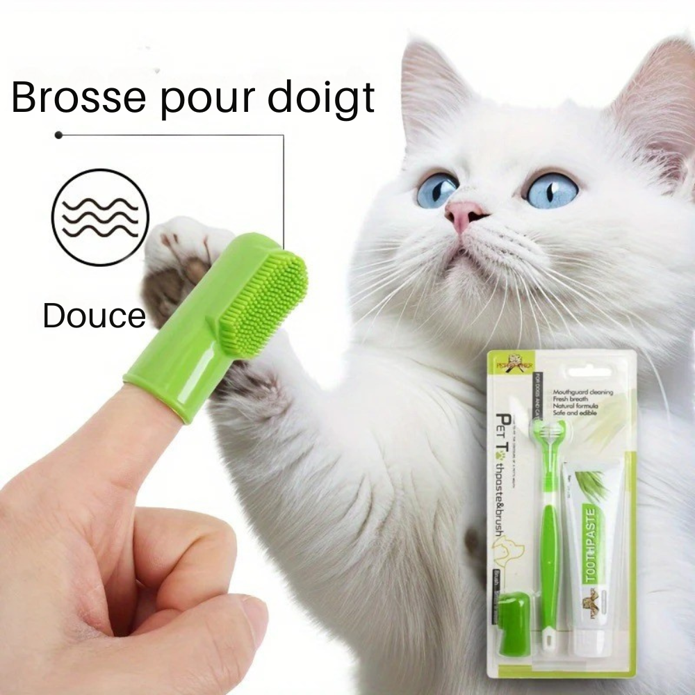 Kit Brosse à Dents 3 en 1 pour Animaux
