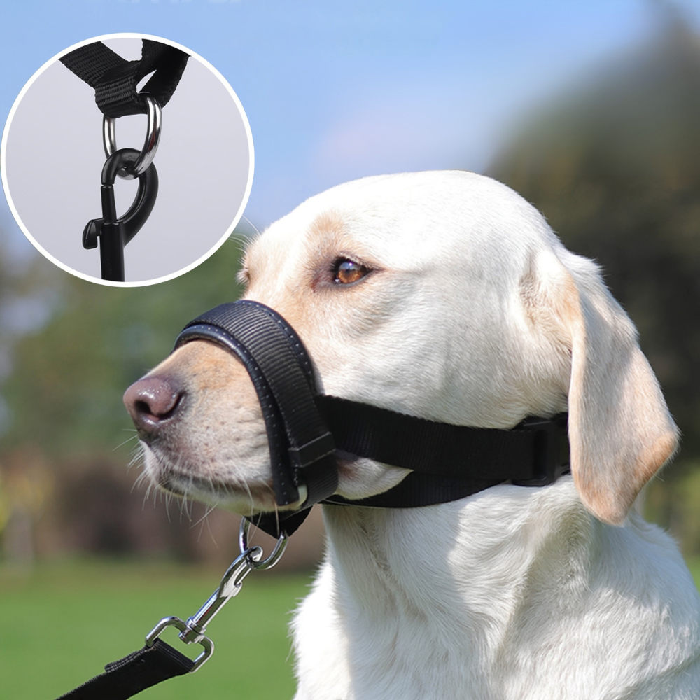 Muselière de dressage en nylon réglable – confort et contrôle sans gêne