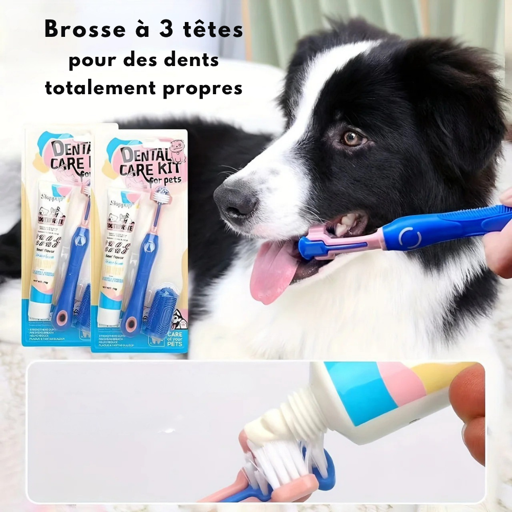 Kit de Soins Dentaires Sloppup pour Animaux
