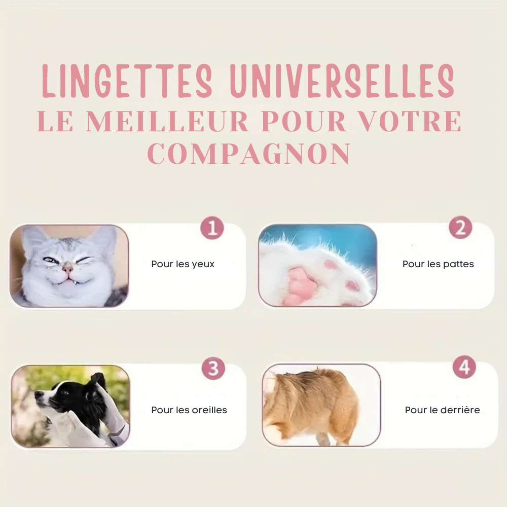 Lingettes de Toilette Sans Odeur pour Chiens et Chats