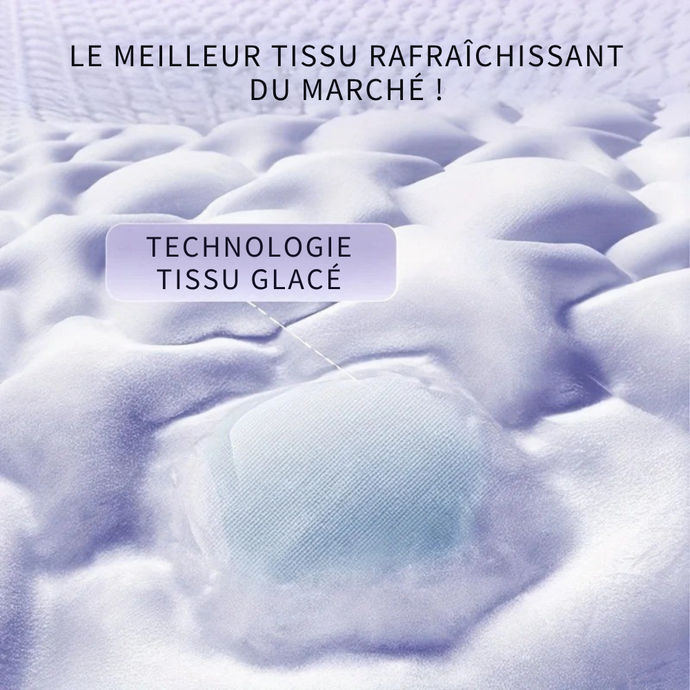 Lit rafraîchissant en latex pour Chien, design alvéolé