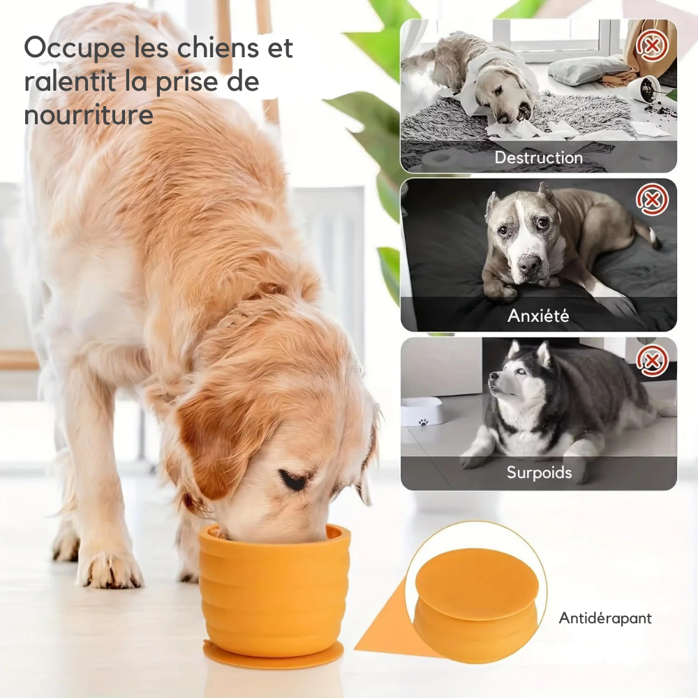 Bol à Lécher Cylindrique avec Ventouse en Silicone pour Chien