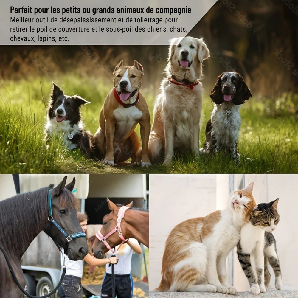 Brosse Double-Face Ergonomique KingKomb pour Animaux