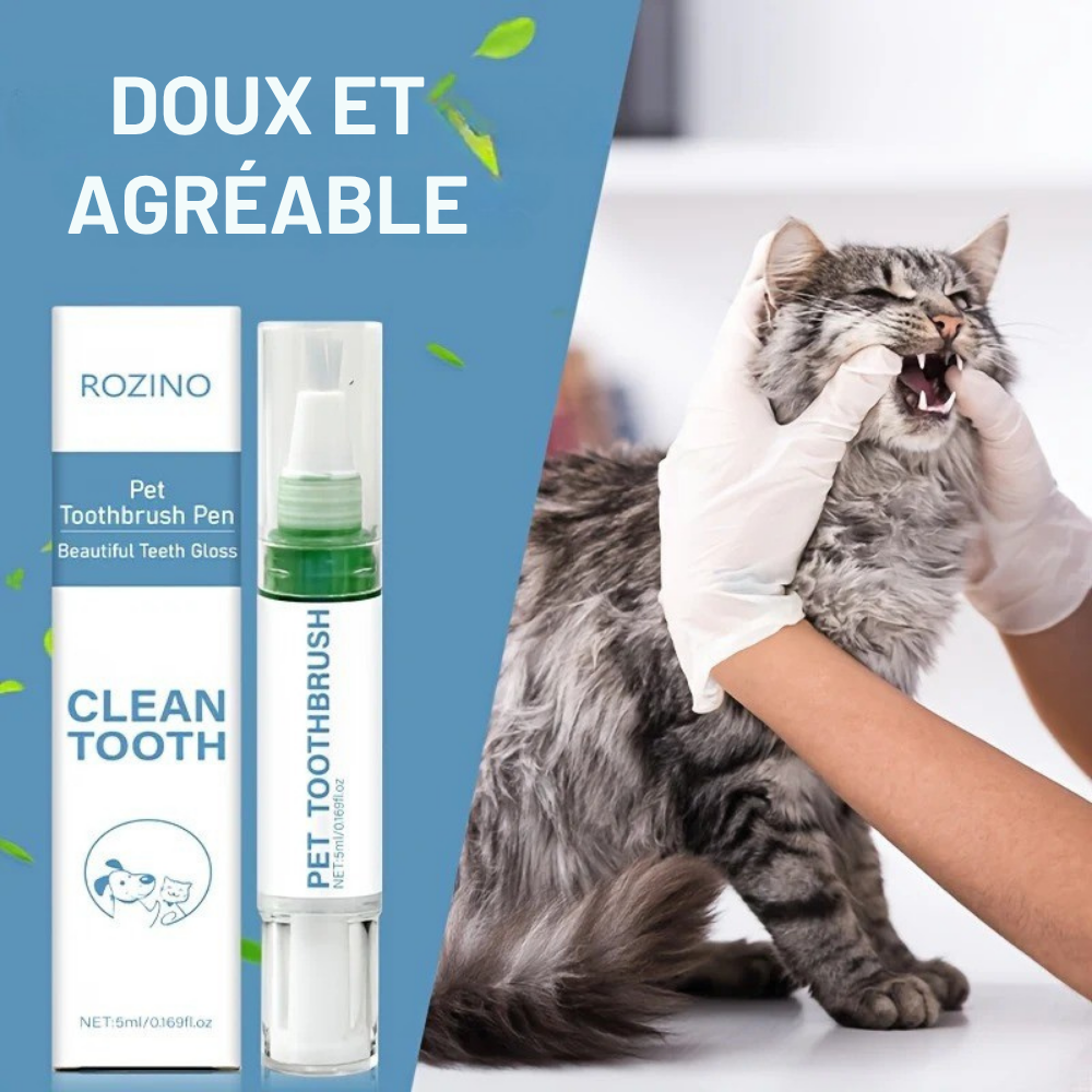 Stylo Brosse à Dents pour Animaux ROZINO