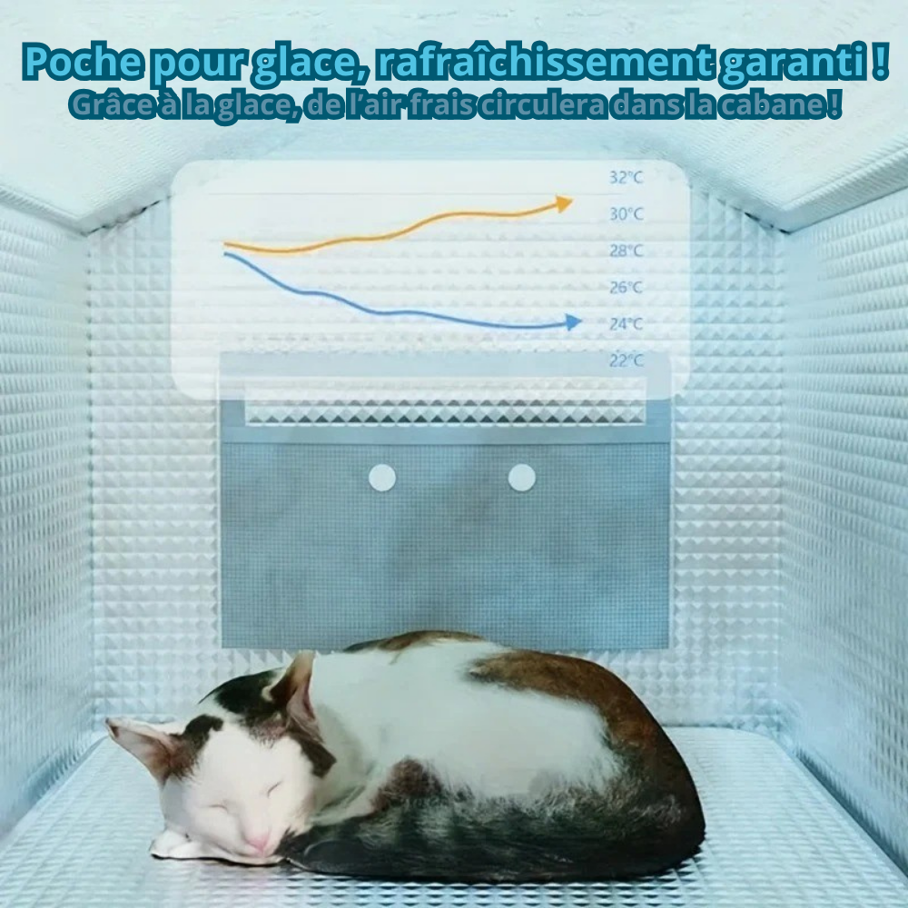 Maison Rafraîchissante pour Chats ou Petit Chiens