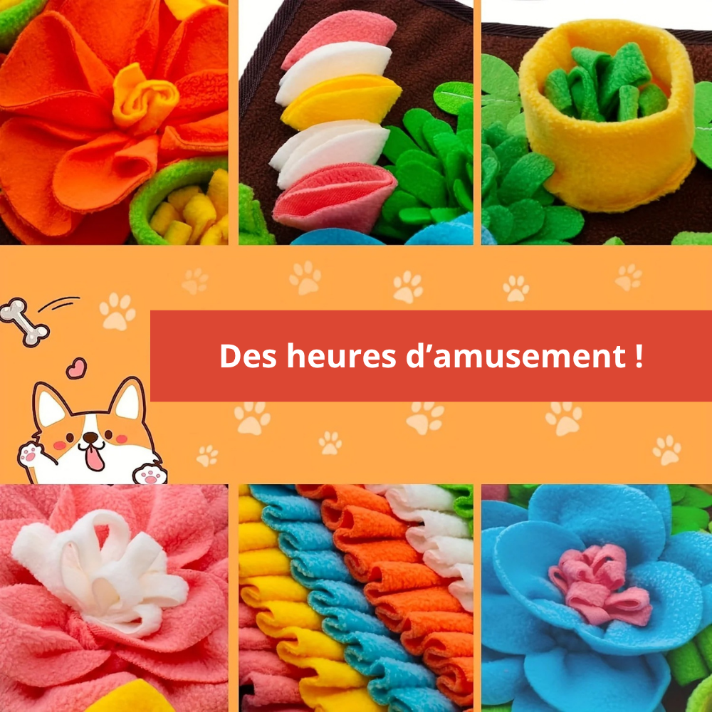 Tapis de Fouille Carré Multicolore – Jouet Éducatif Lavable pour Chiens