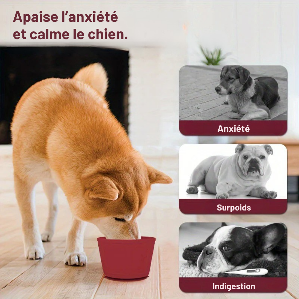 Bol à Lécher Antidérapant avec Ventouse en Silicone pour Chien